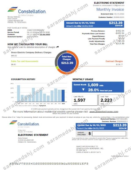 USA CONSTELLATION utility bill Word and PDF template